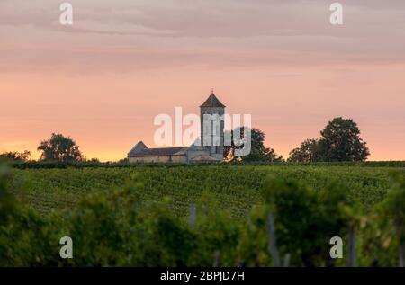 Sonnenuntergang über den Weinbergen von Montagne in der Nähe von Saint Emilion. Gironde, Aquitaine. Frankreich Stockfoto