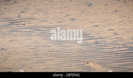 Fußabdruck in der feine Sand am Meer in Portugal Stockfoto