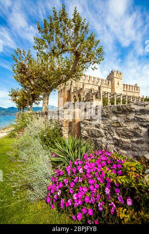 Blick auf die Scaligerburg in Torri Del Benaco Venetien Italien Stockfoto