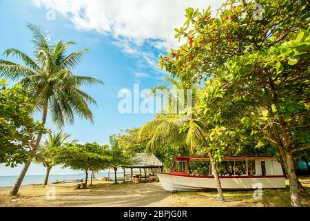 Am Strand von Playa Tarcoles Costa Rica Stockfoto