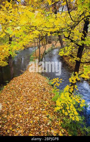Herbst im Schlosspark von Meiningen Thüringen Deutschland Stockfoto