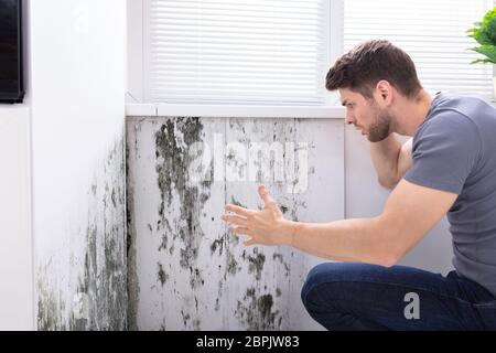 Seitenansicht eines jungen Mannes auf der Suche nach Schimmel an der Wand Stockfoto