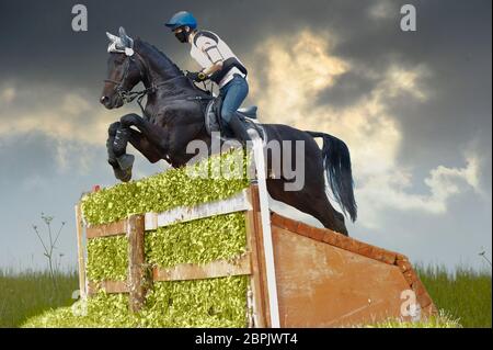 Reiter springen über ein Pinselzaun Hindernis Stockfoto