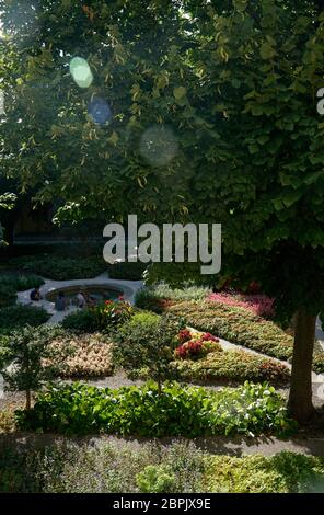 Der Garten in Espace Van Gogh Kulturzentrum das ehemalige Krankenhaus.Arles, Bouches-du-Rhone, Provence-Alpes-Cote d'Azur.Frankreich Stockfoto