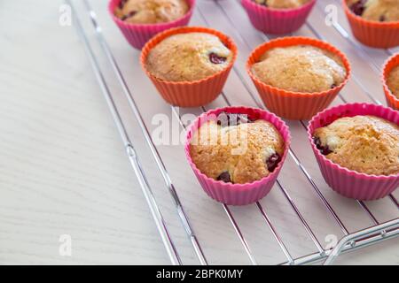 Hausgemachte Muffins mit Cherry, Muffins am Draht Rack auf einem weißen Tisch. Stockfoto
