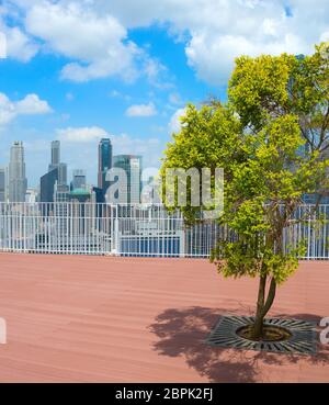 Baum auf dem Dach des Hochhauses in Singapur Stockfoto