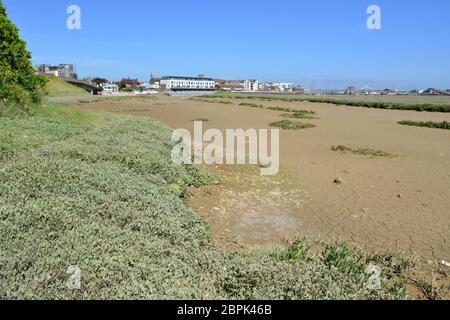 Schlammflatten an der Mündung des Flusses Adur in Shoreham, West Sussex Stockfoto