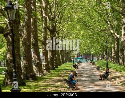 London, Großbritannien. Mai 2020. WETTER Frühlingstag in St James und Green Parks London UK Pathway Green Park Credit: Ian Davidson/Alamy Live News Stockfoto