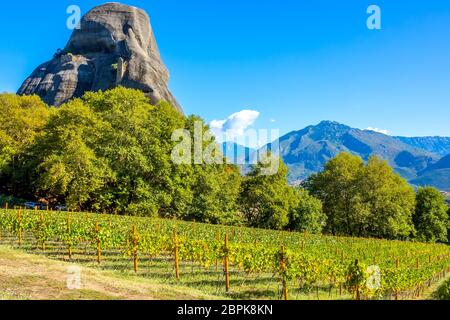 Griechenland. Sonniger Sommertag zwischen den Felsen von Kalambaka. Weinberg gehört zum Felskloster von Meteora Stockfoto