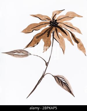 Ausbildung Zeichnung in Sumi-e (suibokuga) Stil - weihnachtsstern Blume hand von Braun Aquarelle auf weißem Papier gemalt Stockfoto