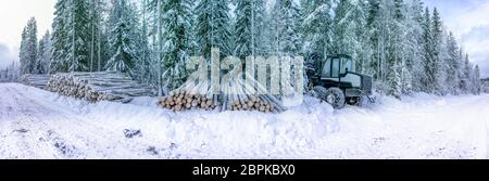 Panoramablick auf Nutzholz, Kiefernholz nach klarem Schnitt, Winterwald, Nordschweden. Schneehöhe, wolkiger Wintertag, Schneestrasse im Stockfoto