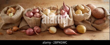 Reihe offener Säcke mit verschiedenen Arten von Zwiebeln und Kartoffeln, frisch auf Holzboden Hintergrund im rustikalen Ernte Konzept Banner, von hohen Winkel gesehen Stockfoto