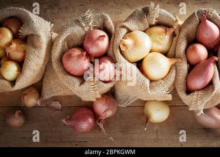 Blick von oben auf die Sack Stofftaschen mit Zwiebel Sortiment. Verschiedene Arten von frisch geernteten Zwiebeln im rustikalen Säcke gelegt und Gesehen von oben auf Holz- f Stockfoto