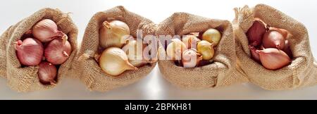 Reihe offener sack Säcke mit verschiedenen Arten von frischen Zwiebel von lokalen Markt, gesehen von oben auf weißem Hintergrund Stockfoto