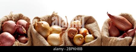 Reihe von Säcken mit verschiedenen Arten von Zwiebel, in verschiedene Taschen sortiert, gegen weiße Hintergrund platziert Stockfoto