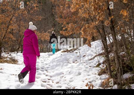 Mutter und Tochter, in Ski Anzüge gekleidet, Wandern in einer verschneiten Winterwald an einem sonnigen Tag. Auf den Ästen von Bäumen, trockene gelbe Blätter sind leuchtet Stockfoto