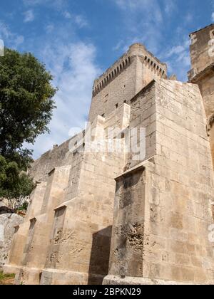 Abtei von St. Peter in Montmajour in der Nähe von Arles, Frankreich Stockfoto