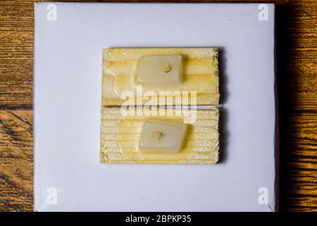 Paraffinblöcke mit Krebs Proben, Proben für die histologische Untersuchung des Tumors. Teile eines Tumors für tiefe Forschung von Krebszellen. Stockfoto