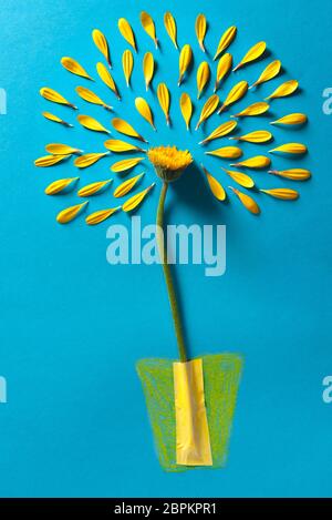 Gelbe Blume mit gezupfter Blütenblätter auf einem blauen Hintergrund und eine Hand gezeichnete Blumen Vase. Stockfoto