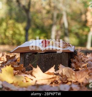 Offenes Buch auf einem Baumstumpf in der Mitte eines Herbst park mit trockenen gelben Ahornblätter Stockfoto
