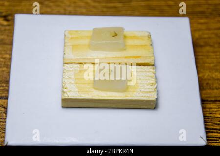 Paraffinblöcke mit Krebs Proben, Proben für die histologische Untersuchung des Tumors. Teile eines Tumors für tiefe Forschung von Krebszellen. Stockfoto