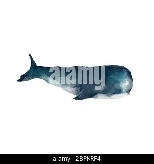 Aquarell whale Hand gemalte Abbildung auf weißem Hintergrund. Realistische unterwasser Tier. Digitale moderne künstlerische Darstellung. Stockfoto