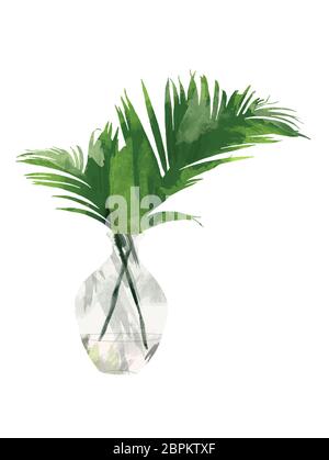 Tropical Areca Palmenblatt in der Flasche oder Vase isoliert auf weißem Hintergrund. Florale botanische ClipArt für Design oder Druck - Illustration Aquarell Stockfoto