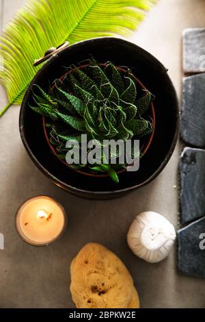 Spa und Wellness. Wellness Produkte in der natürlichen Einstellung Overhead flatlay der Aloe vera Stockfoto