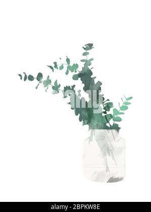 Bemalter Eukalyptus in der Flasche oder Vase isoliert auf weißem Hintergrund. Florale botanische ClipArt für Design oder Druck - Illustration Aquarell Stockfoto