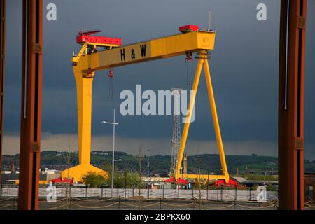 Harland & Wolfe Werft, Belfast, Nordirland. Stockfoto