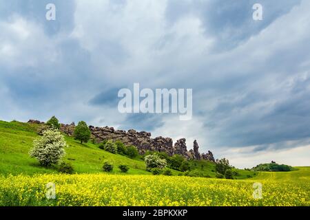 Landschaft mit Bäumen und Felsen im Harz, Deutschland. Stockfoto