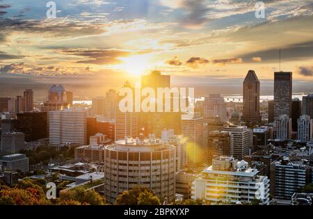 Skyline von Montreal in den frühen Morgenstunden vom Mont Royal Park, Kanada Stockfoto