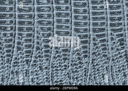 Textur aus blaugrauem echtem Leder Nahaufnahme, geprägt unter der Haut exotische Reptilien, Mode-Trend-Muster Stockfoto