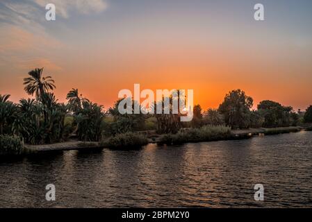 Palmen, die in das Wasser an der Sonnenuntergang am Ufer des Nil, Ägypten, 26. Oktober 2018 Stockfoto