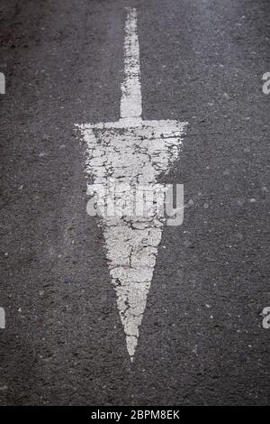 Pfeil auf dem Asphalt, Straße, Zeichen für Fahrzeuge Stockfoto