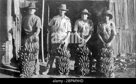 PINBARREN, AUSTRALIEN, UM 1931: Vier unbekannte Männer posieren mit Bananenbüschen bei der Bonney Brothers Banana Plantation in Pinbarren, Noosa Shire, Sunshine Coast in Queensland, Australien. Stockfoto