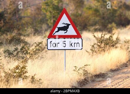 Verkehrsschild: Achtung Springbok überfahrt-Straße, nächste 5 KM Stockfoto
