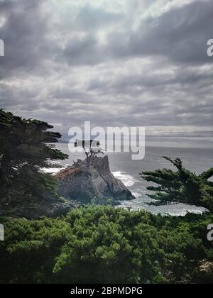 Lone Cypress - Monterey Cypress in Pebble Beach, 17 Meile Fahrt, Kalifornien, USA Stockfoto