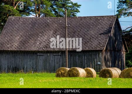 Hay liegen auf der grünen Wiese an der Scheune. Heuballen auf dem Feld in der Nähe der Scheune. Frisch heuballen an der Scheune in Lettland gerollt. Stockfoto