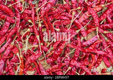 Nahaufnahme Stapel von luftgetrockneten roten Chili-Paprika Hintergrund. Scharf und würzig trockene rote Chilischoten. Stockfoto