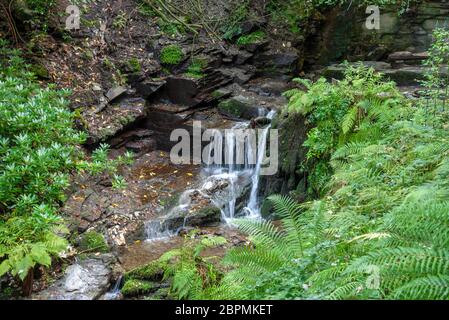 Wasserfall bei St Nectans´ Glenn bei Tintagel im Norden von Cornwall, Großbritannien. Stockfoto