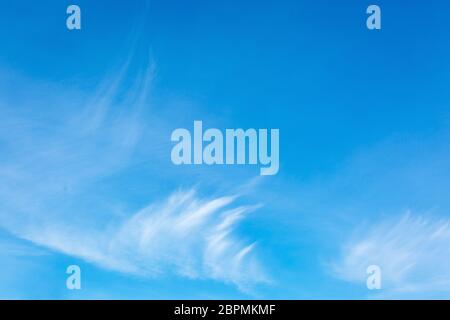 Blauer Himmel mit Zirruswolken. Dünne, wispige Stränge atmosphärischer Wolken. Sanfter Himmel Hintergrund. Stockfoto