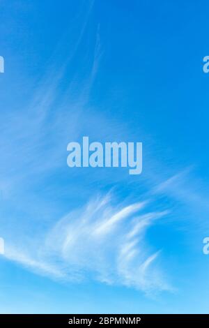 Blauer Himmel mit Zirruswolken. Dünne, wispige Stränge atmosphärischer Wolken. Sanfter Himmel Hintergrund. Vertikales Foto. Stockfoto