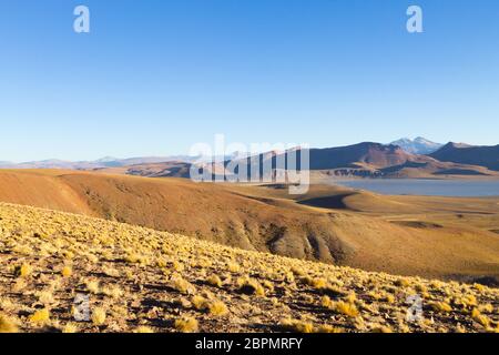 Morejon bolivianischen Landschaft, Blick auf die Lagune, Bolivien. Anden Plateau Stockfoto