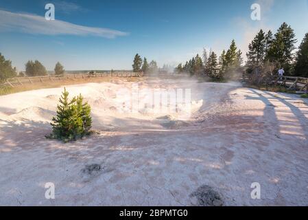 Landschaftlich schöne Aussicht auf bunte Geysire am Morgen, Yellowstone Nationalpark, USA.. Stockfoto