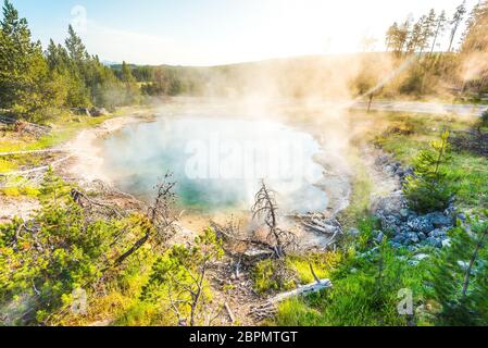 Landschaftlich schöne Aussicht auf bunte Geysire am Morgen, Yellowstone Nationalpark, USA.. Stockfoto