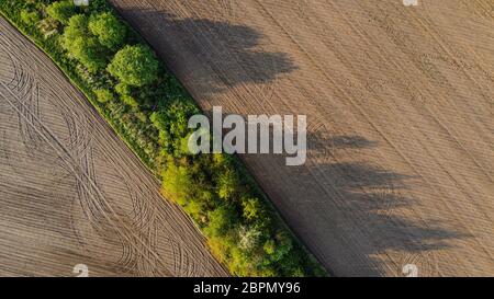 Schwarze landwirtschaftliche Feld und grüne Bäume Luftbild von Drohne, schöne natürliche Textur Hintergrund von oben Stockfoto