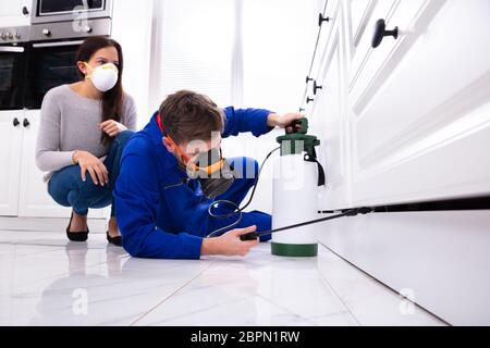 Frau an männlichen Schädlingsbekämpfung Arbeitnehmer Sprühen von Pestiziden auf Holzgehäuse Stockfoto