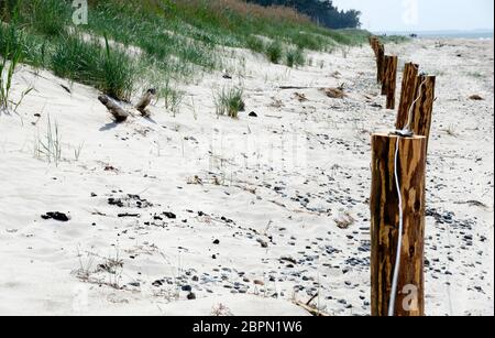 Barriere vor einer Sanddüne, die teilweise von Gras bewachsen ist im Nationalpark Darsser Ort, Deutschland Stockfoto