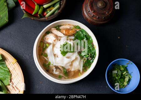 Asiatische Kway Teow Suppe, Nudeln und Huhn in Schüssel auf dunklem Hintergrund. Ansicht von oben flach. Stockfoto